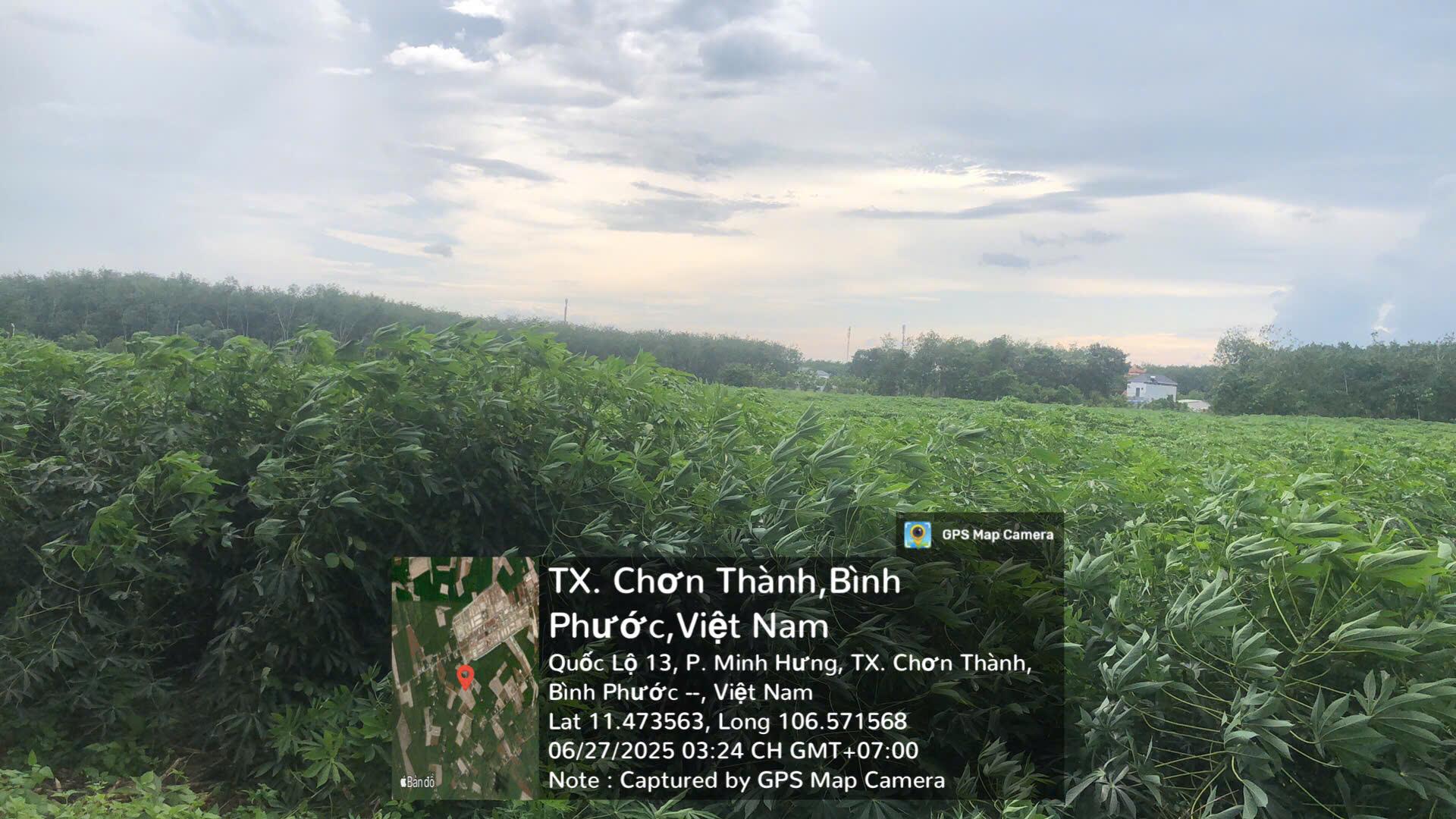 Quỹ đất to giá rẻ Bình Phước