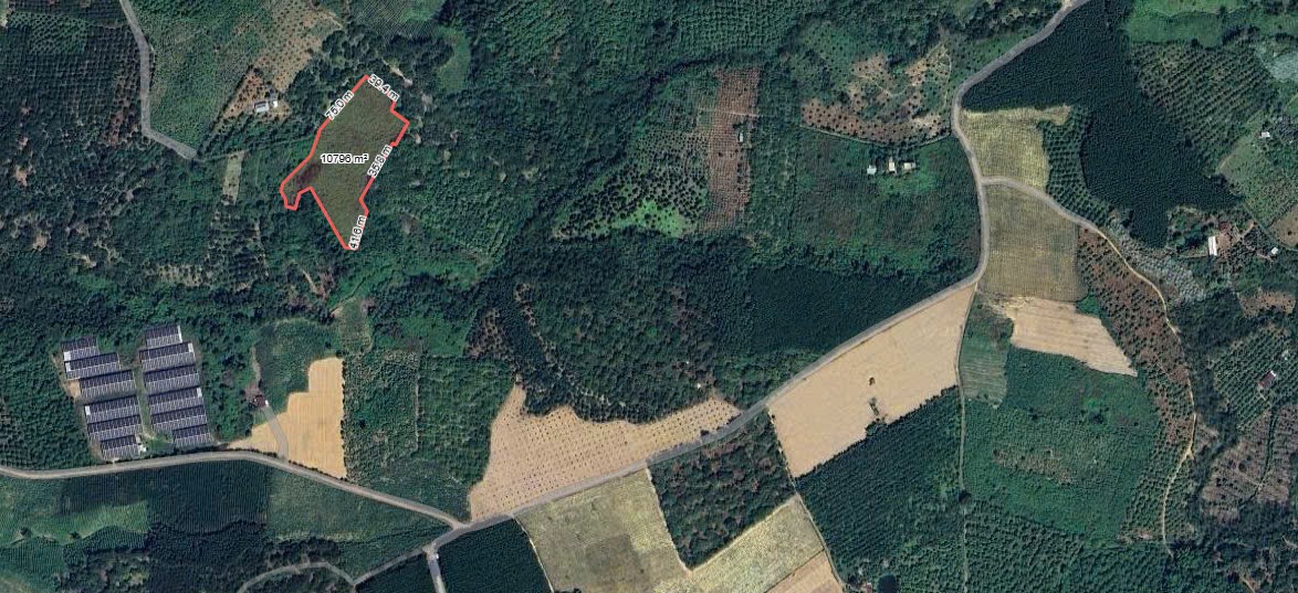 Lô đất 10.727m² tại Xã Định Quán, Đồng Nai, ngang 150m, hướng Đông Bắc, giá 6 tỷ. Tiềm năng khai thác nhà vườn, trang trại sinh thái và đầu tư dài hạn. Liên hệ ngay để sở hữu đất rộng tại Đồng Nai.