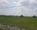 Đất nền giá ngon 