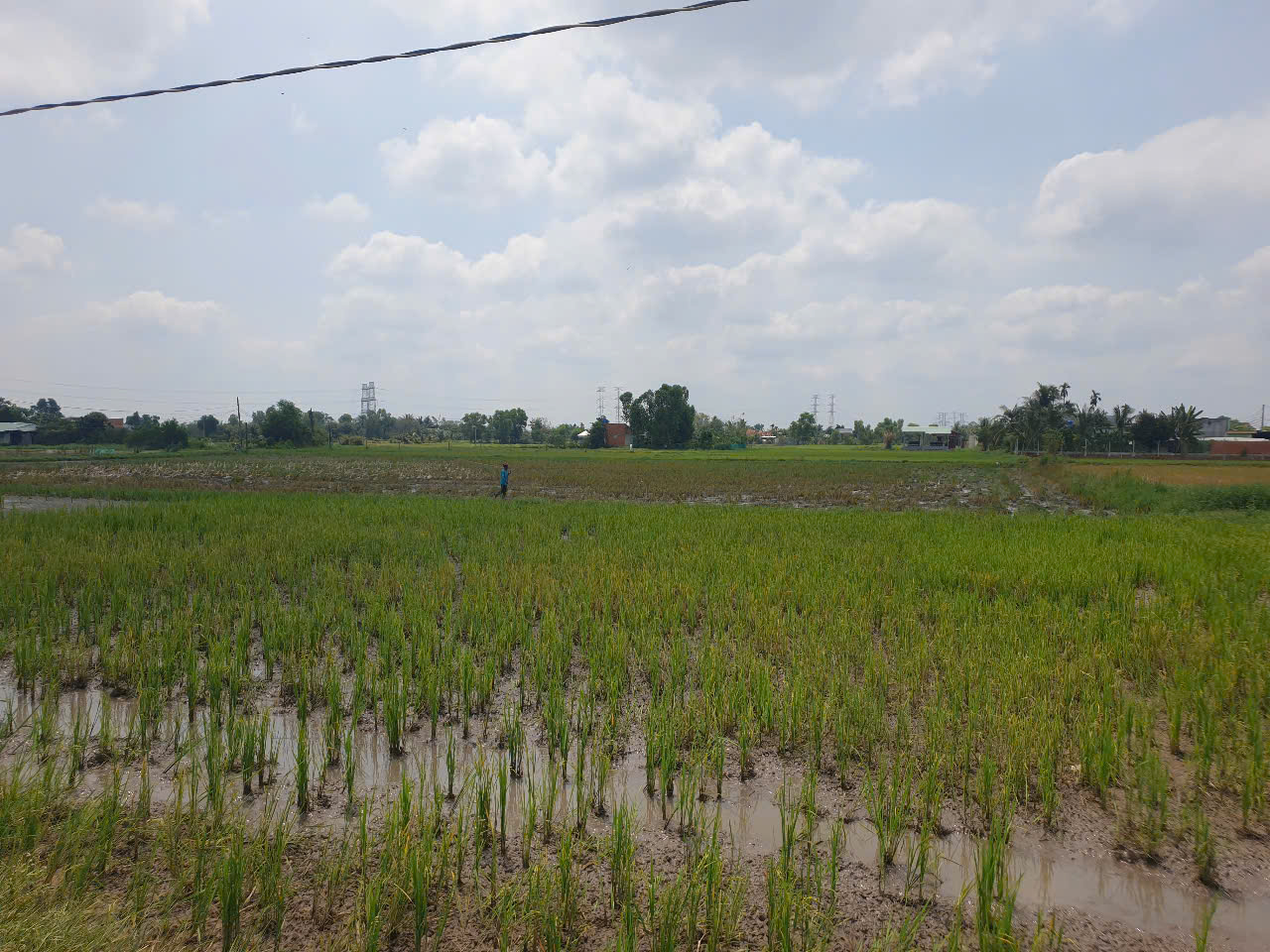 Đất nền giá ngon 